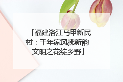 福建洛江马甲新民村：千年家风拂新韵 文明之花绽乡野