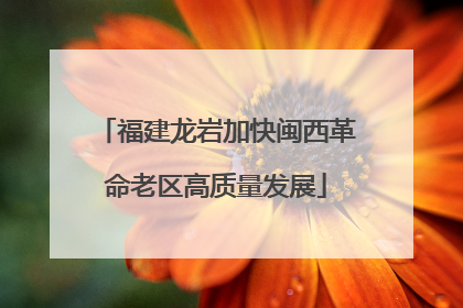 福建龙岩加快闽西革命老区高质量发展