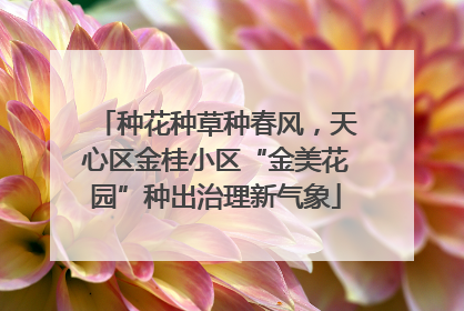 种花种草种春风，天心区金桂小区“金美花园”种出治理新气象