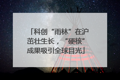 科创“雨林”在沪茁壮生长，“硬核”成果吸引全球目光