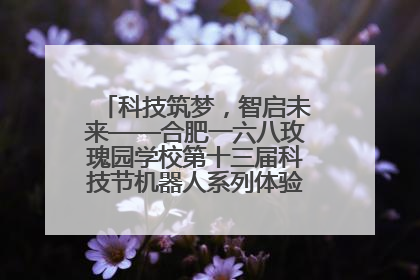 科技筑梦，智启未来——合肥一六八玫瑰园学校第十三届科技节机器人系列体验赛燃动校园