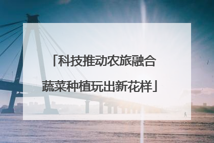 科技推动农旅融合 蔬菜种植玩出新花样