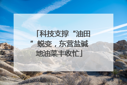 科技支撑“油田”蜕变，东营盐碱地油菜丰收忙