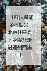 科技赋能乡村振兴 北京住建委下乡服务走进通州西集