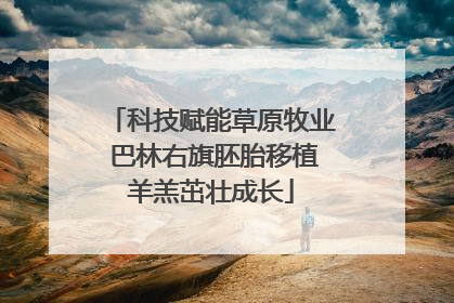 科技赋能草原牧业 巴林右旗胚胎移植羊羔茁壮成长