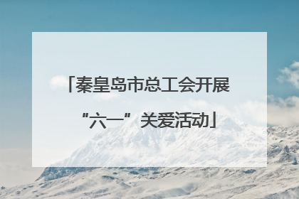 秦皇岛市总工会开展“六一”关爱活动