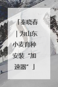 秦晓春｜为山东小麦育种安装“加速器”