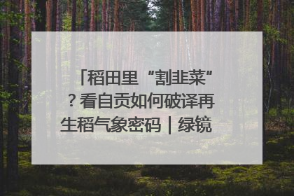 稻田里“割韭菜”？看自贡如何破译再生稻气象密码｜绿镜头·发现中国