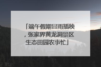 端午假期冒雨插秧，张家界黄龙洞景区生态田园农事忙