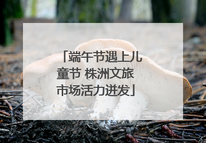 端午节遇上儿童节 株洲文旅市场活力迸发