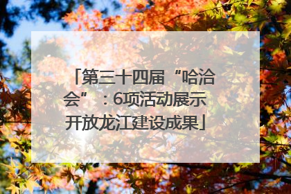 第三十四届“哈洽会”：6项活动展示开放龙江建设成果
