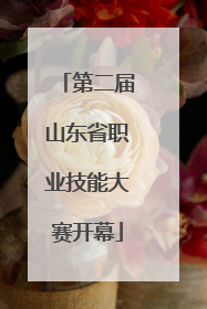 第二届山东省职业技能大赛开幕