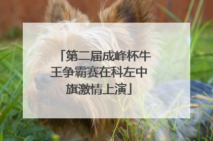 第二届成峰杯牛王争霸赛在科左中旗激情上演