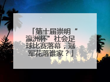 第十届崇明“瀛洲杯”社会足球比赛落幕，冠军花落谁家？