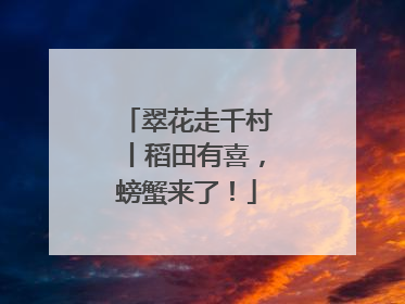 翠花走千村丨稻田有喜，螃蟹来了！