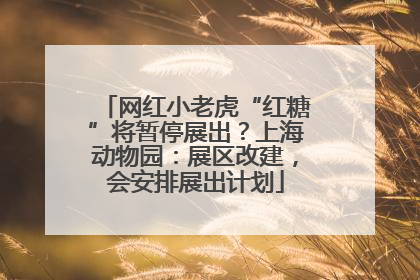 网红小老虎“红糖”将暂停展出？上海动物园：展区改建，会安排展出计划