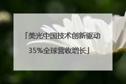 美光中国技术创新驱动35%全球营收增长