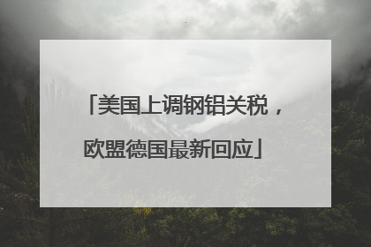 美国上调钢铝关税，欧盟德国最新回应