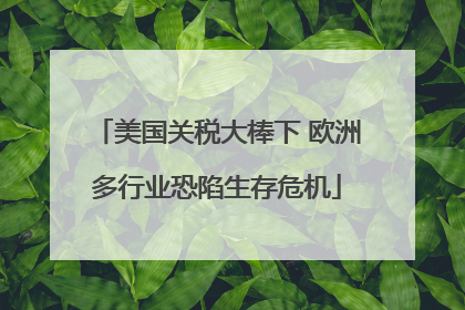 美国关税大棒下 欧洲多行业恐陷生存危机