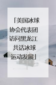 美国冰球协会代表团访问黑龙江 共话冰球运动发展