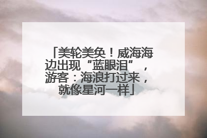 美轮美奂！威海海边出现“蓝眼泪”，游客：海浪打过来，就像星河一样