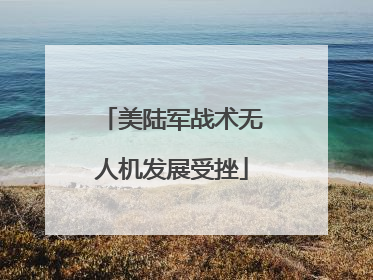 美陆军战术无人机发展受挫
