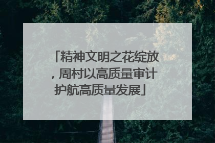 精神文明之花绽放，周村以高质量审计护航高质量发展