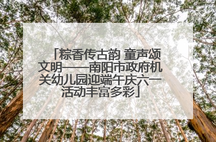粽香传古韵 童声颂文明——南阳市政府机关幼儿园迎端午庆六一活动丰富多彩