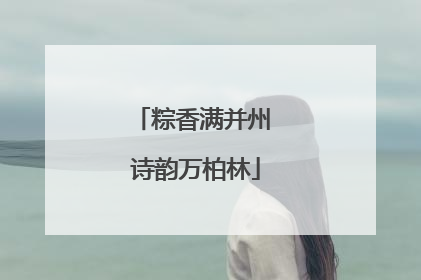 粽香满并州 诗韵万柏林