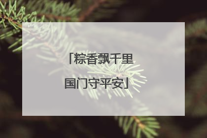 粽香飘千里 国门守平安