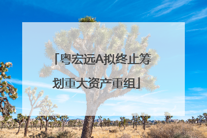 粤宏远A拟终止筹划重大资产重组