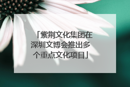 紫荆文化集团在深圳文博会推出多个重点文化项目