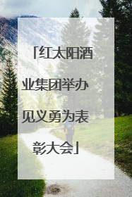 红太阳酒业集团举办见义勇为表彰大会