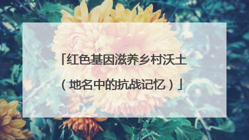 红色基因滋养乡村沃土（地名中的抗战记忆）