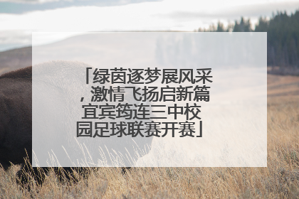 绿茵逐梦展风采，激情飞扬启新篇 宜宾筠连三中校园足球联赛开赛