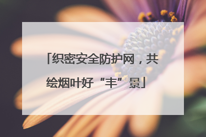 织密安全防护网，共绘烟叶好“丰”景