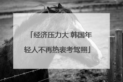 经济压力大 韩国年轻人不再热衷考驾照