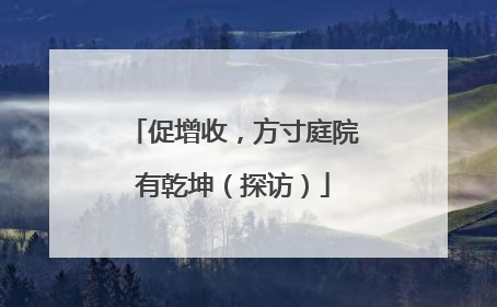 促增收，方寸庭院有乾坤（探访）