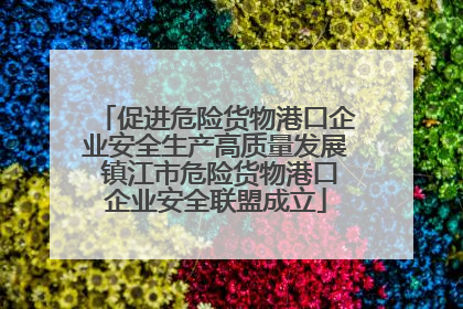 促进危险货物港口企业安全生产高质量发展 镇江市危险货物港口企业安全联盟成立