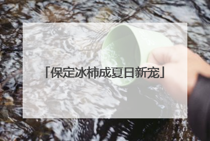 保定冰柿成夏日新宠