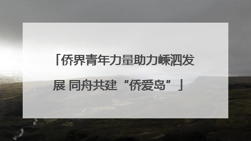 侨界青年力量助力嵊泗发展 同舟共建“侨爱岛”