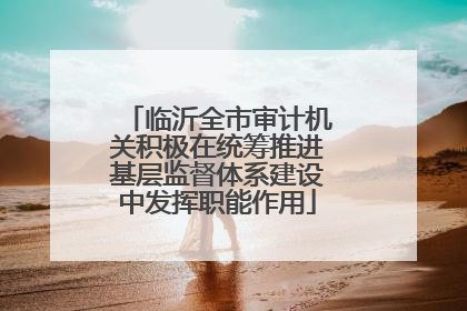 临沂全市审计机关积极在统筹推进基层监督体系建设中发挥职能作用