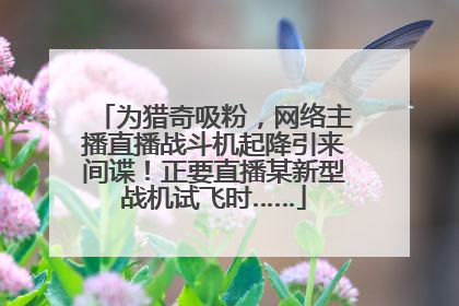 为猎奇吸粉，网络主播直播战斗机起降引来间谍！正要直播某新型战机试飞时……