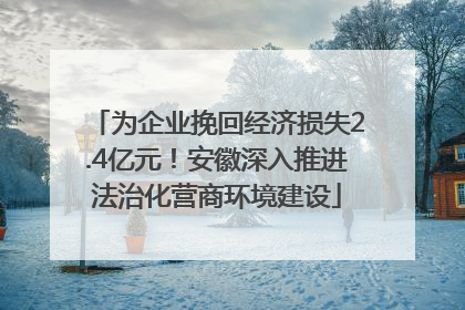 为企业挽回经济损失2.4亿元！安徽深入推进法治化营商环境建设