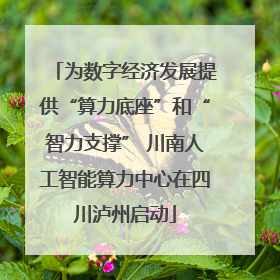 为数字经济发展提供“算力底座”和“智力支撑” 川南人工智能算力中心在四川泸州启动