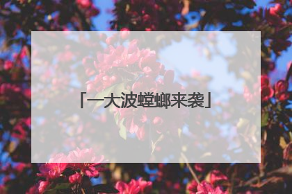 一大波螳螂来袭
