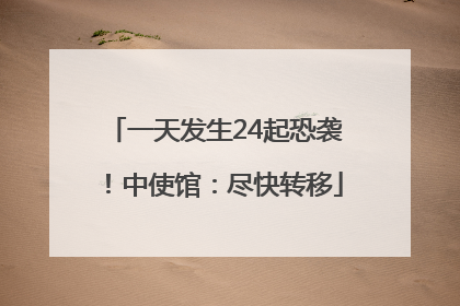 一天发生24起恐袭！中使馆：尽快转移