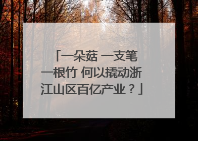 一朵菇 一支笔 一根竹 何以撬动浙江山区百亿产业？