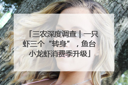 三农深度调查｜一只虾三个“转身”，鱼台小龙虾消费季升级