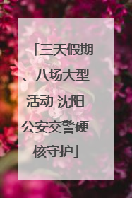 三天假期、八场大型活动 沈阳公安交警硬核守护